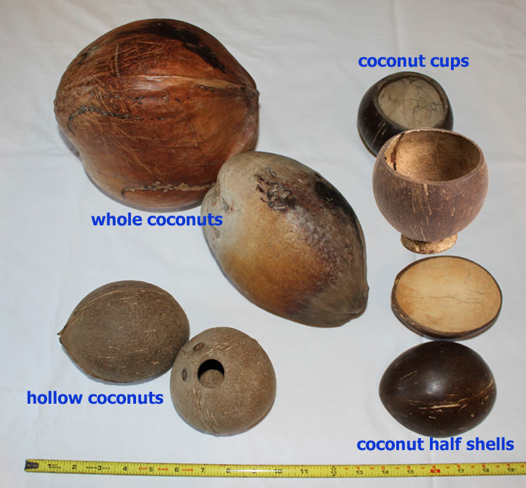 Unpainted Coconut Products and Size Specifications